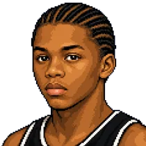 Sebastian Telfair portrait