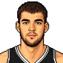 Ivica Zubac portrait