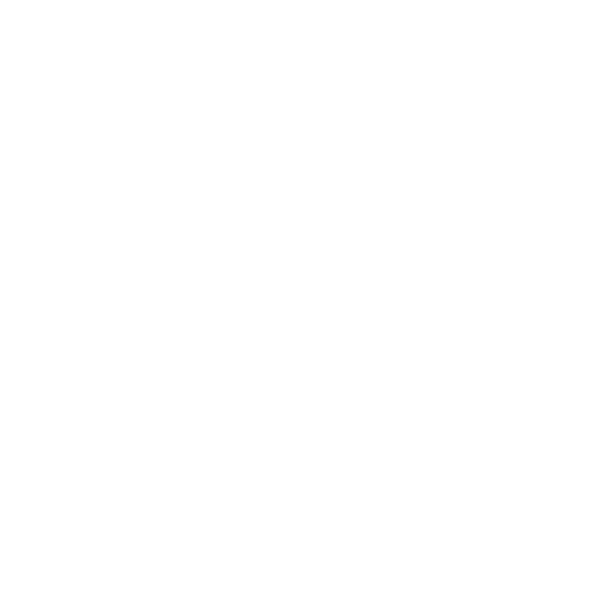 Charlotte Hornets logo