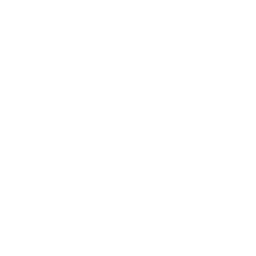 Detroit Pistons logo