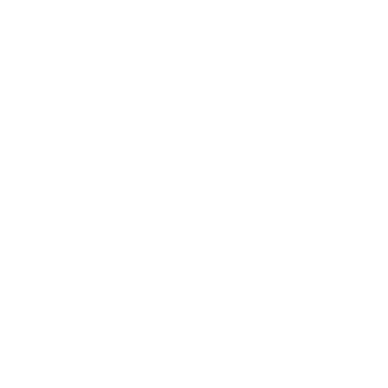 Houston Rockets logo